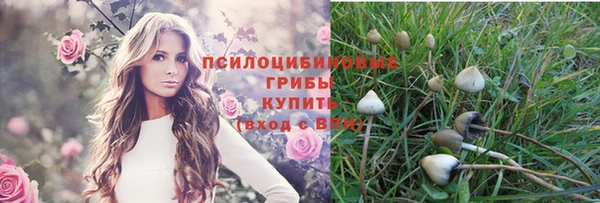 амф Балабаново