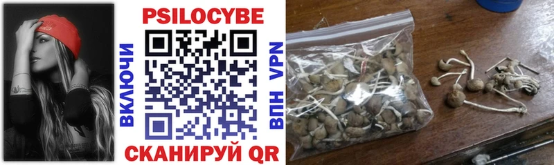 Купить Жуковка Галлюциногенные грибы мицелий