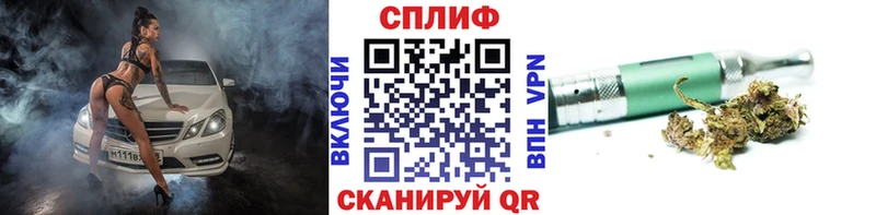 Канабис сатива Жуковка
